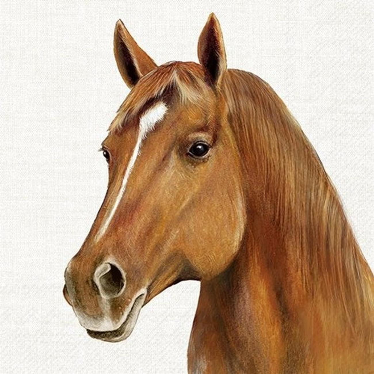 ihr-farm-horse-cream-lunch-napkin - IHR Lunch Napkins Farm Horse Cream