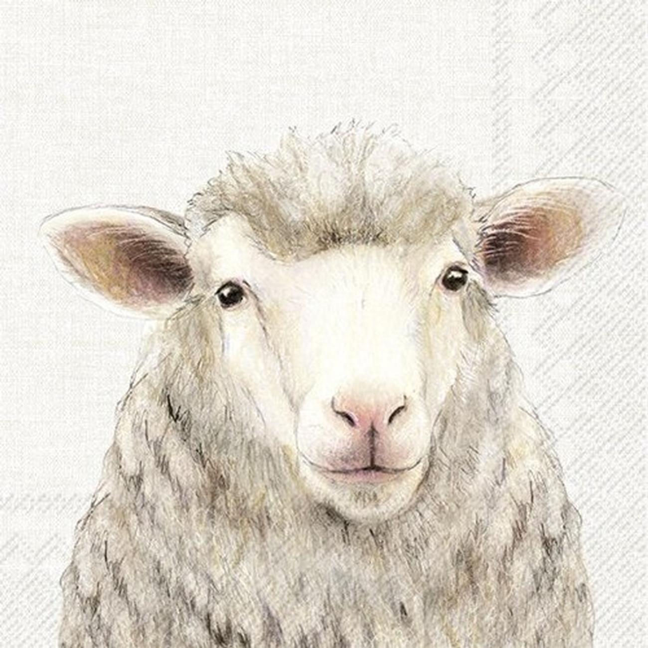ihr-farm-sheep-cream-lunch-napkins - IHR Lunch Napkins Farm Sheep Cream