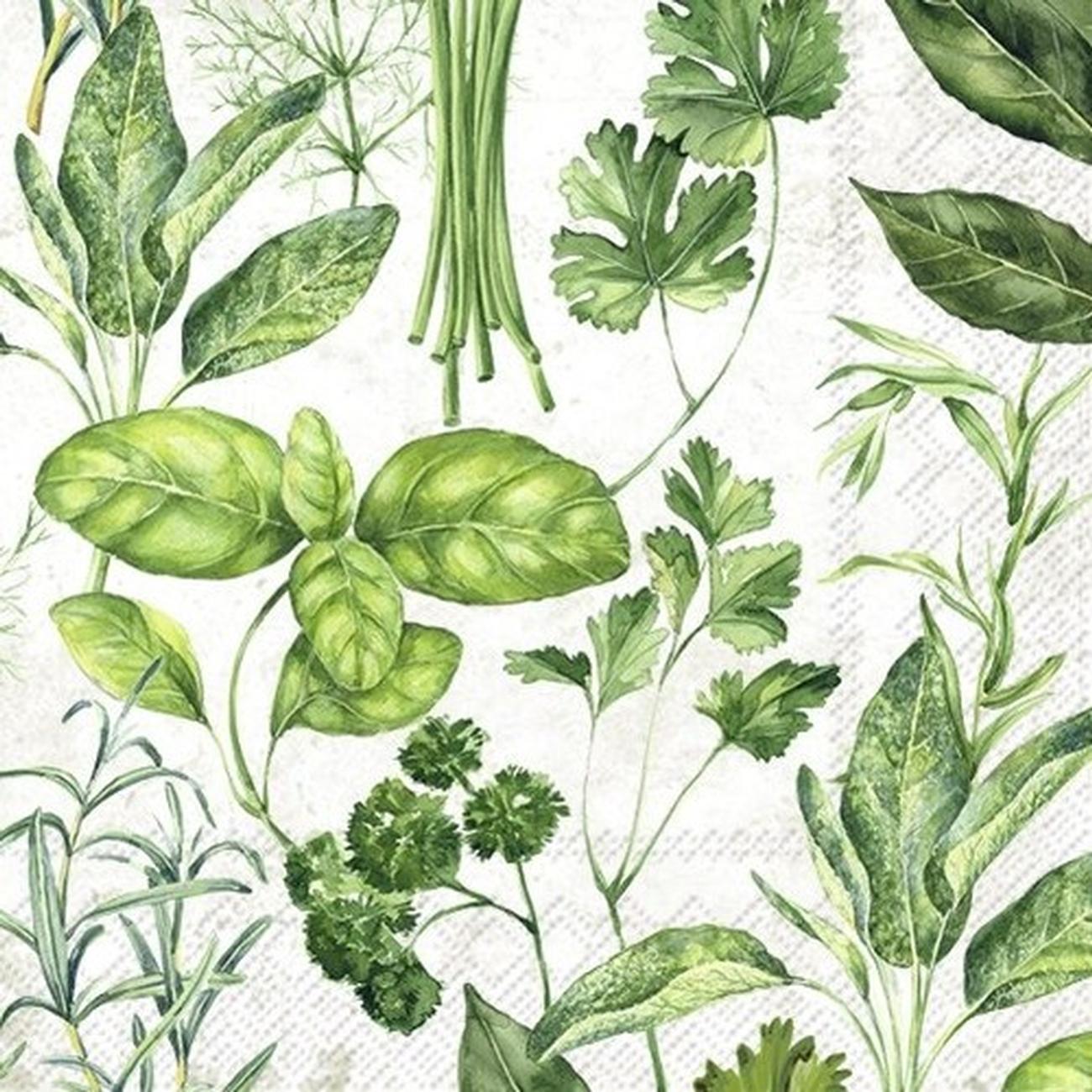 ihr-variety-of-herbs-lunch-napkins - IHR Lunch Napkins Variety Of Herbs