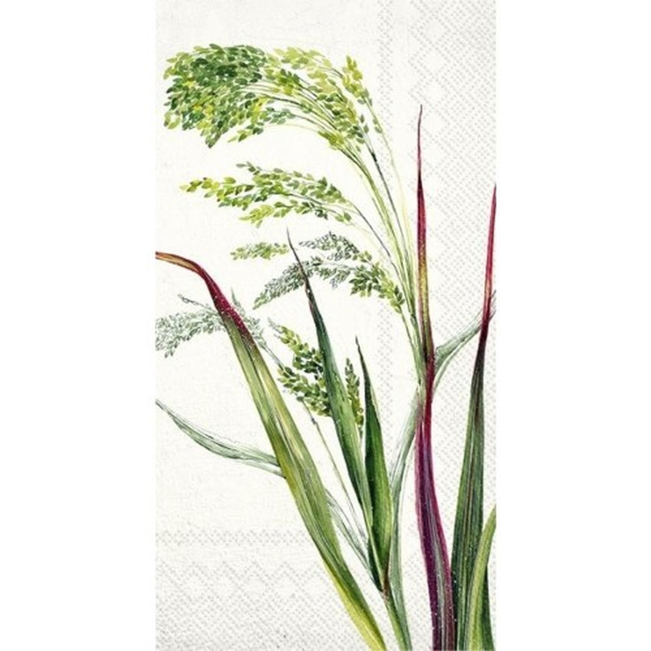 ihr-willa-cream-guest-towel - IHR Guest Towels Willa Cream