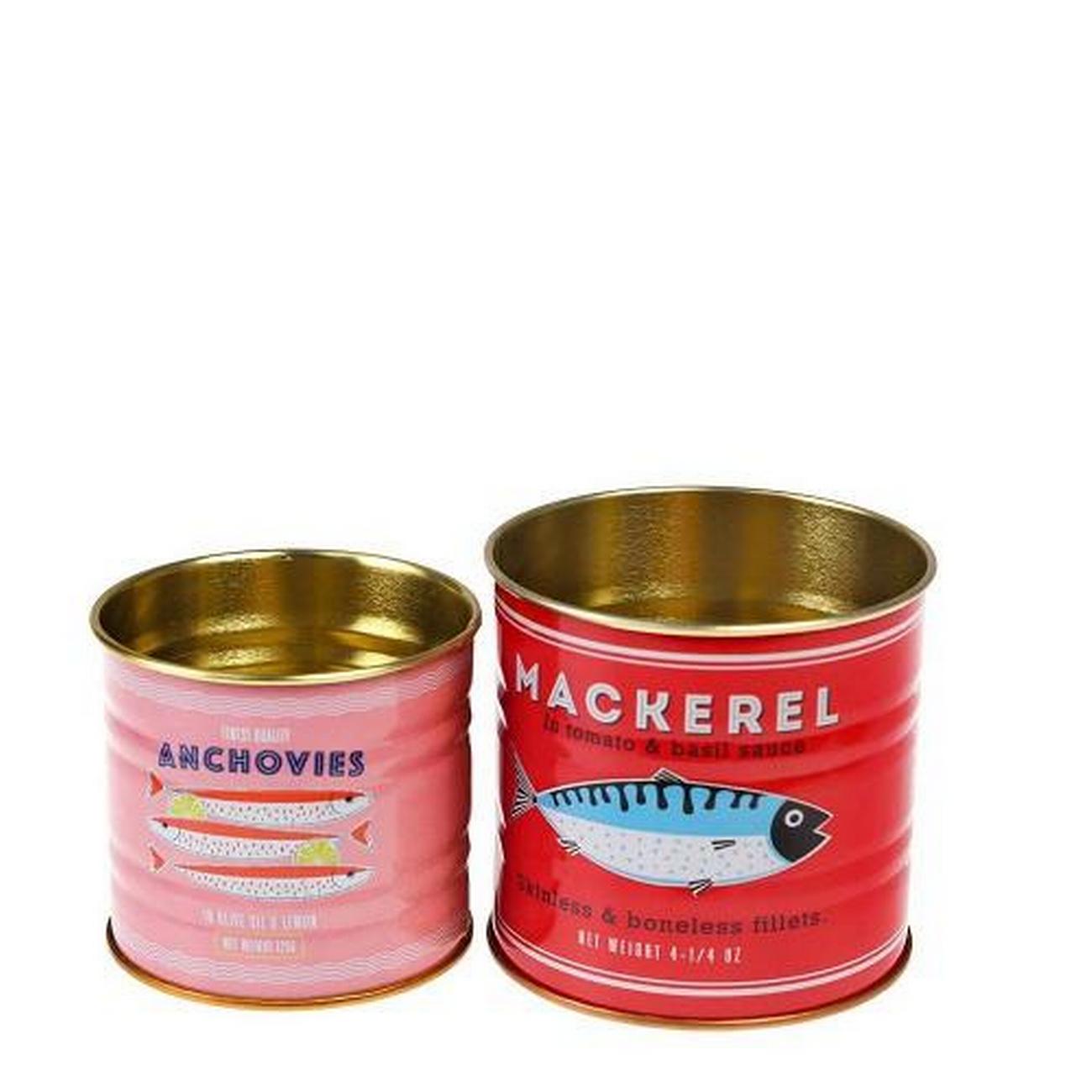 mackerel-medium-storage-tin - Fish Storage Tin