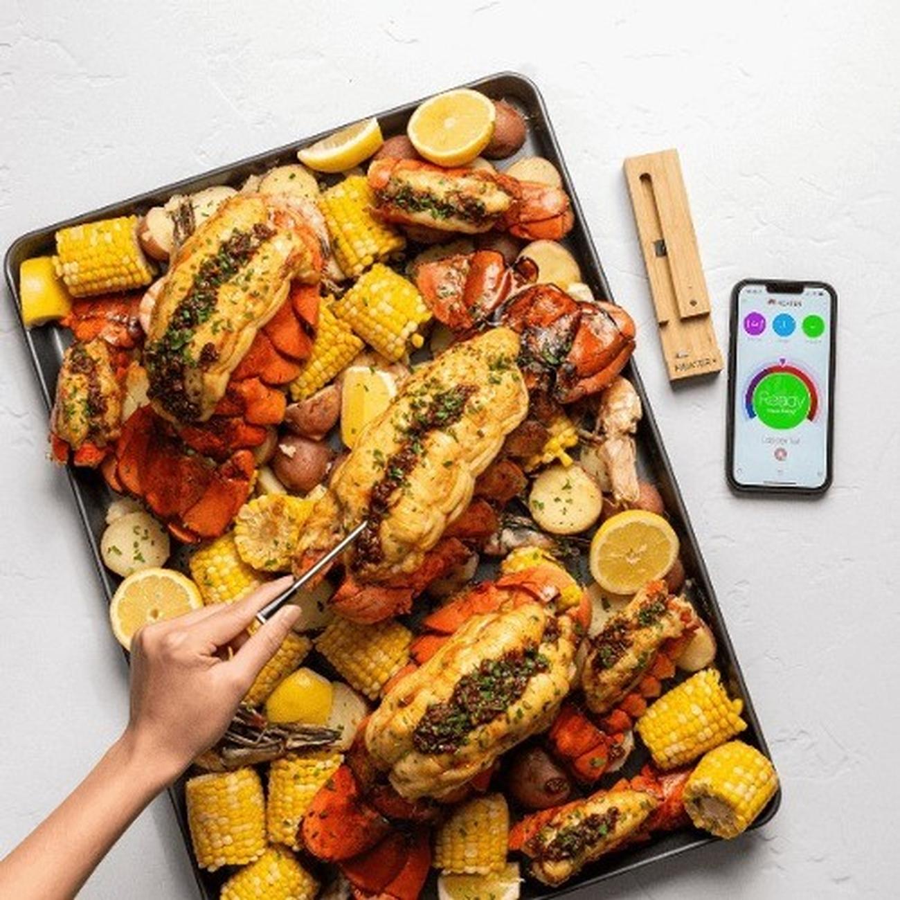 meater-plus-meat-thermometer-wireless - Meater Plus Meat Thermometer Wireless