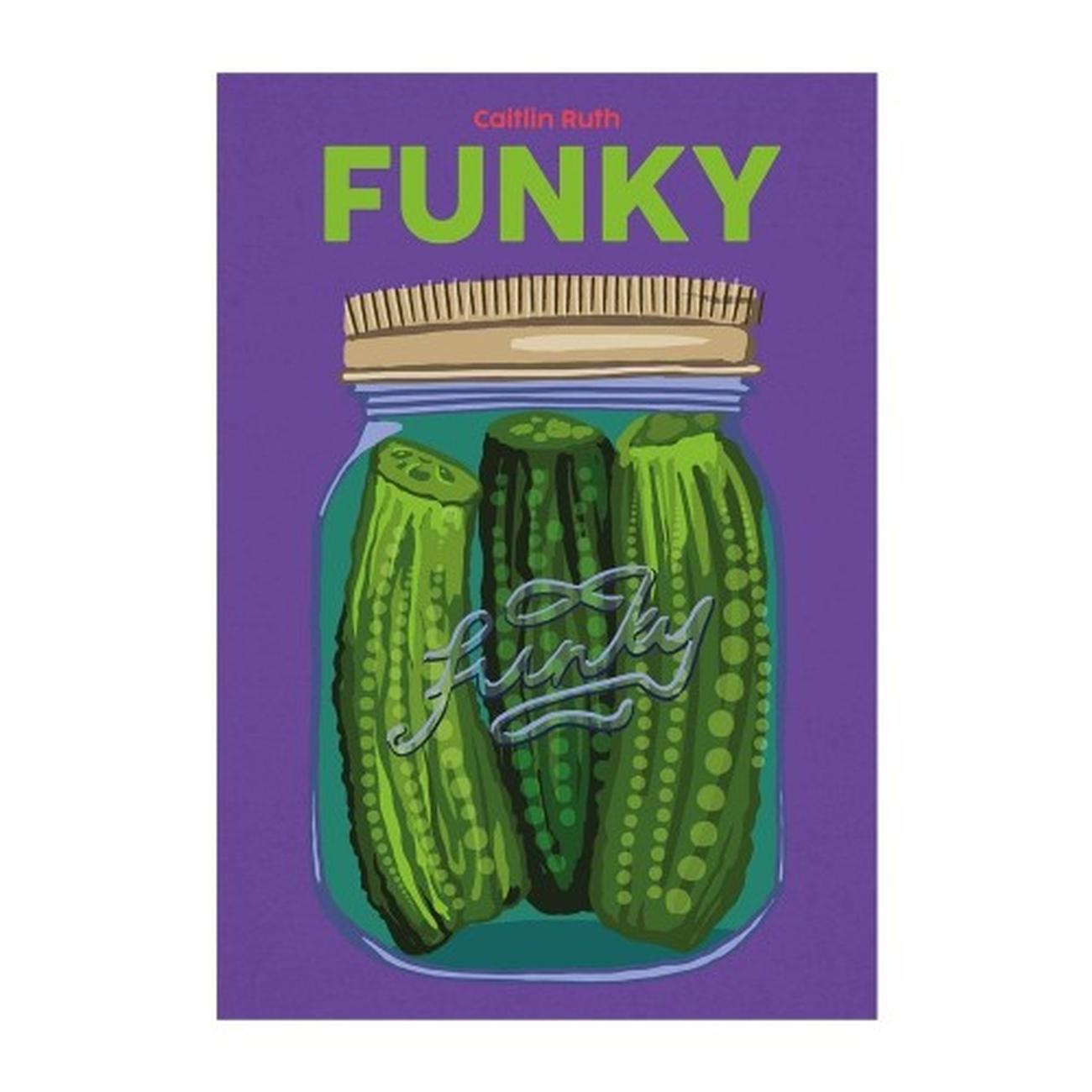 nin-funky-book-by-caitlin-ruth - Funky by Caitlin Ruth