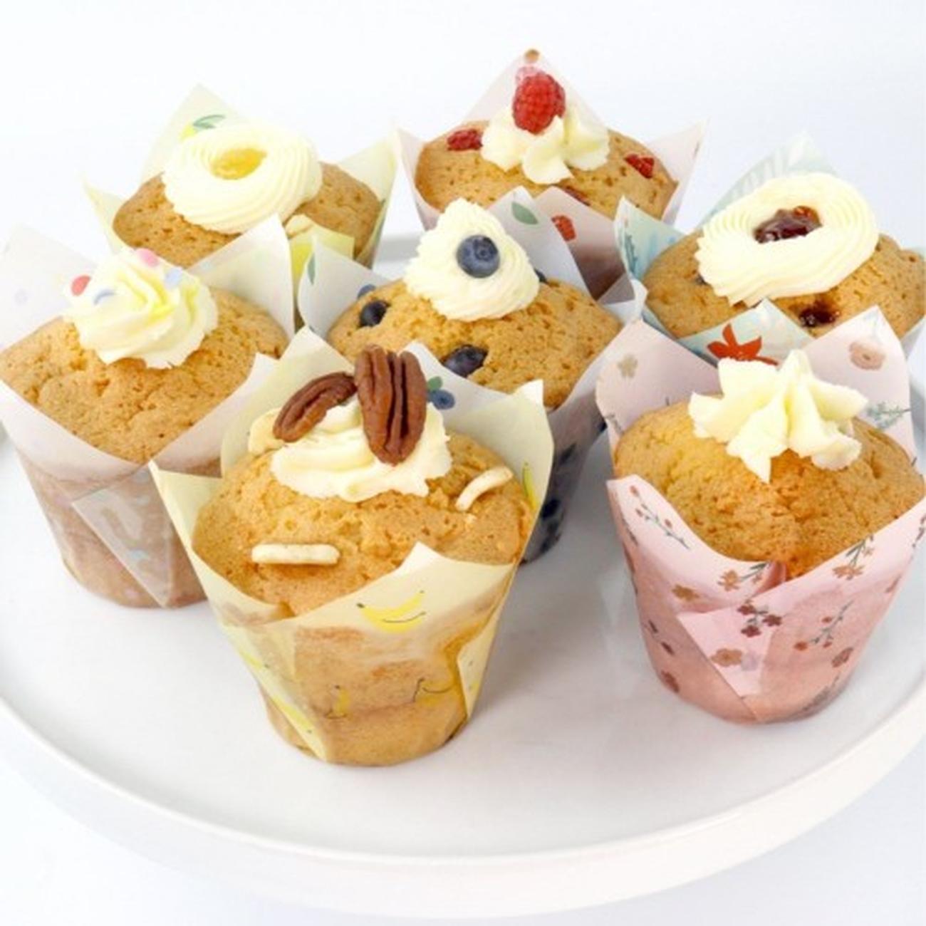 Tulip cupcake cases new arrivals