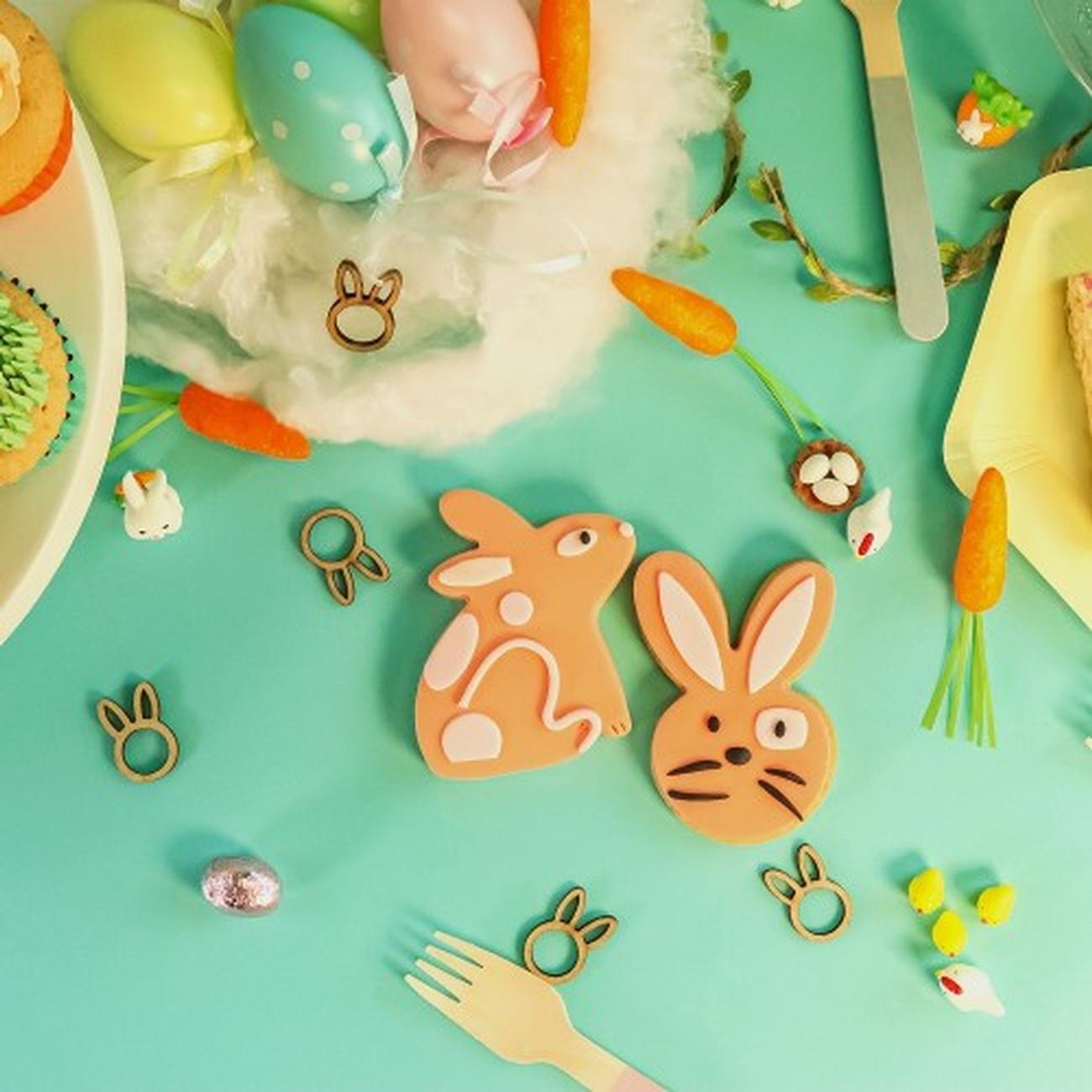 pme-easter-cookie-cutter-set-of-2-bunnies - PME Easter Cookie Cutter Bunnies Set of 2