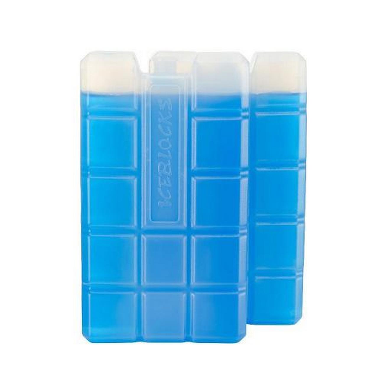 thermos-ice-pack-2pc - Thermos Ice Pack 2pc