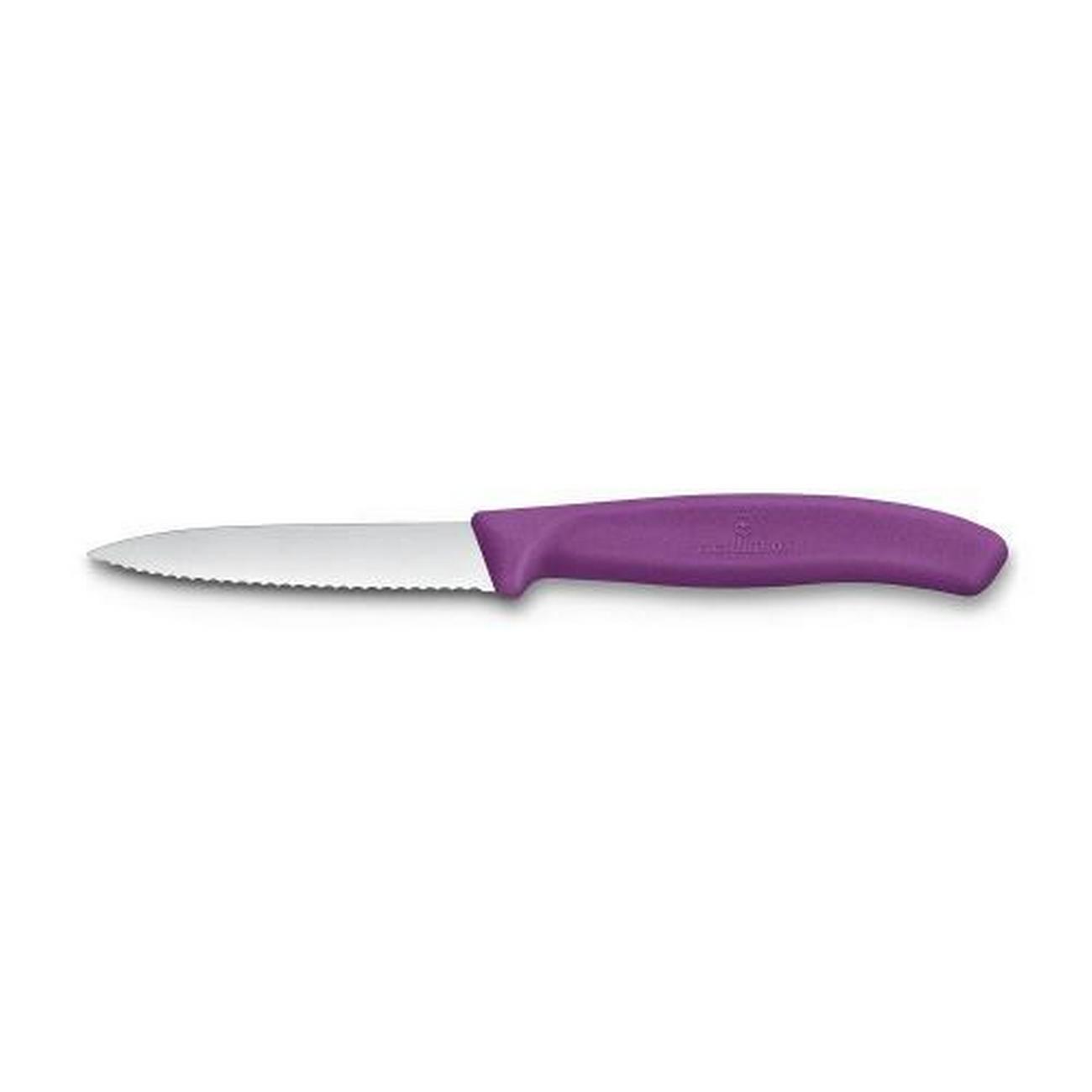 victorinox-swiss-classic-paring-knife-serrated-3inch-purple - Victorinox Swiss Classic Paring Knife Serrated 3 Inch Purple