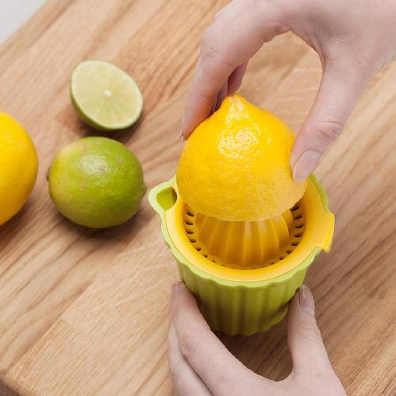 zeal-citrus-juicer - Zeal Citrus Juicer
