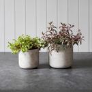 gt-stratton-sraight-plant-pots-stone-large - Garden Trading Stratton Straight Plant Pots Stone Large