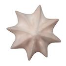 de-buyer-stainless-steel-star-nozzle-A8 - de Buyer Inox Star Nozzle A8