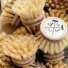 andree-jardin-spare-dish-brush-head - Andree Jardin Natural Dish Brush Head