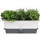 cole-mason-self-watering-herb-keeper-triple - Cole & Mason Self-Watering Herb Keeper Triple Potted