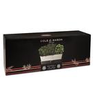 cole-mason-self-watering-herb-keeper-triple - Cole & Mason Self-Watering Herb Keeper Triple Potted