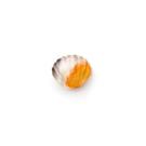 leuke-shell-ice-cube-tray - Leuke Shell Ice Cube Tray