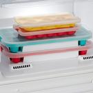 leuke-shell-ice-cube-tray - Leuke Shell Ice Cube Tray