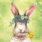 ihr-lunch-napkin-Easter-friends-bunny-green - IHR Lunch Napkin Easter Friends Bunny Green