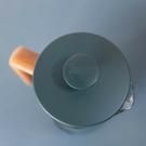 la-cafetiere-pisa-8-cup-coffee-press-green - La Cafetiere Pisa Cafetiere 8 Cup Green