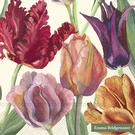 ihr-lunch-napkin-Emma-Bridgewater-tulips-cream - IHR Lunch Napkins Emma Bridgewater Tulips Cream
