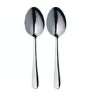 masterclass-serving-spoons-set-of-2 - MasterClass Set of 2 Serving Spoons