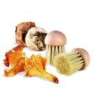 mushroom-brush-wooden-handle - Mushroom Brush Wooden Handle