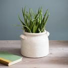 garden-trading-ceramic-pot-with-handles-ravello - Ravello Ceramic Pot with Handles