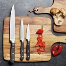 sabatier-classic-20cm-triple-rivet-carving-knife - Sabatier Classic Triple Rivet Carving Knife 20cm