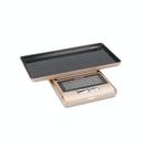 taylor-pro-ultra-precision-digital-portion-scale-500g - Taylor Pro Ultra Precision Digital Gram Scale