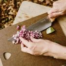 opinel-trio-parallele-kitchen-knives-set - Opinel Trio Parallele Knives Set