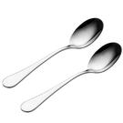 viners-select-serving-spoons-set-of-2-stainless-steel - Viners Select Serving Spoons Set of 2