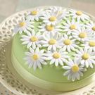 renshaw-edible-marzipan-white-500g - Renshaw Original Marzipan White 500g