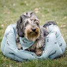 sophie-allport-dachshund-dog-bed-small - Sophie Allport Dachshund Pet Bed Small