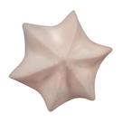 debuyer-inox-star-nozzle-c6-7mm - de Buyer Inox Star Nozzle C6 7mm