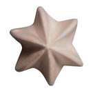 debuyer-inox-star-nozzle-e6-13mm - de Buyer Inox Star Nozzle E6 13mm 