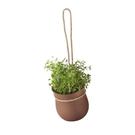 eddingtons-grow-it-herb-pot-terracotta - Eddingtons Grow It Herb Pot Terracotta