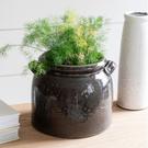 garden-trading-ravello-pot-handles-charcoal - Garden Trading Ravello Pot With Handles Charcoal
