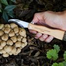 foraging-knife - Gentlemen's Hardware Foraging Knife 