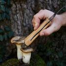 foraging-knife - Gentlemen's Hardware Foraging Knife 