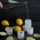 gentlemens-hardware-ice-cube-shot-glass-mould - Gentlemen's Hardware Ice Cube Shot Glass Mould