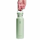 hydroflask-21-oz-standard-flex-cap-aloe - Hydroflask Standard Flex Cap Aloe 21oz(621ml)