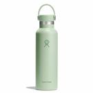 hydroflask-21-oz-standard-flex-cap-aloe - Hydroflask Standard Flex Cap Aloe 21oz(621ml)