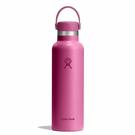 hydroflask-21-oz-standard-flex-cap-reef - Hydroflask Standard Flex Cap Reef 21oz(621ml)