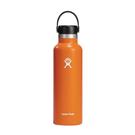 hydroflask-standard-flex-cap-mesa-21oz - Hydro Flask Standard Flex Cap Mesa 21oz(621ml)