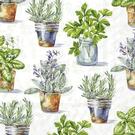 ihr-aromatic-herbs-lgreen-lunch-napkins - IHR Lunch Napkins Aromatic Herbs Light Green