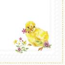 ihr-chicks-cocktail-napkins - IHR Cocktail Napkins Chicks