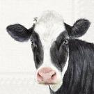 farm-cow-cream-lunch-napkins - IHR Lunch Napkins Farm Cow Cream 