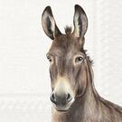 ihr-farm-donkey-cream-lunch-napkin - IHR Lunch Napkins Farm Donkey Cream