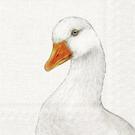 ihr-farm-goose-cream-lunch-napkins - IHR Lunch Napkins Farm Goose Cream