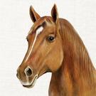 ihr-farm-horse-cream-lunch-napkin - IHR Lunch Napkins Farm Horse Cream