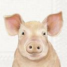 ihr-farm-pig-cream-lunch-napkins - IHR Lunch Napkins Farm Pig Cream