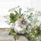 ihr-green-white-pumpkin-lunch-napkins - IHR Lunch Napkins Green & White Pumpkin